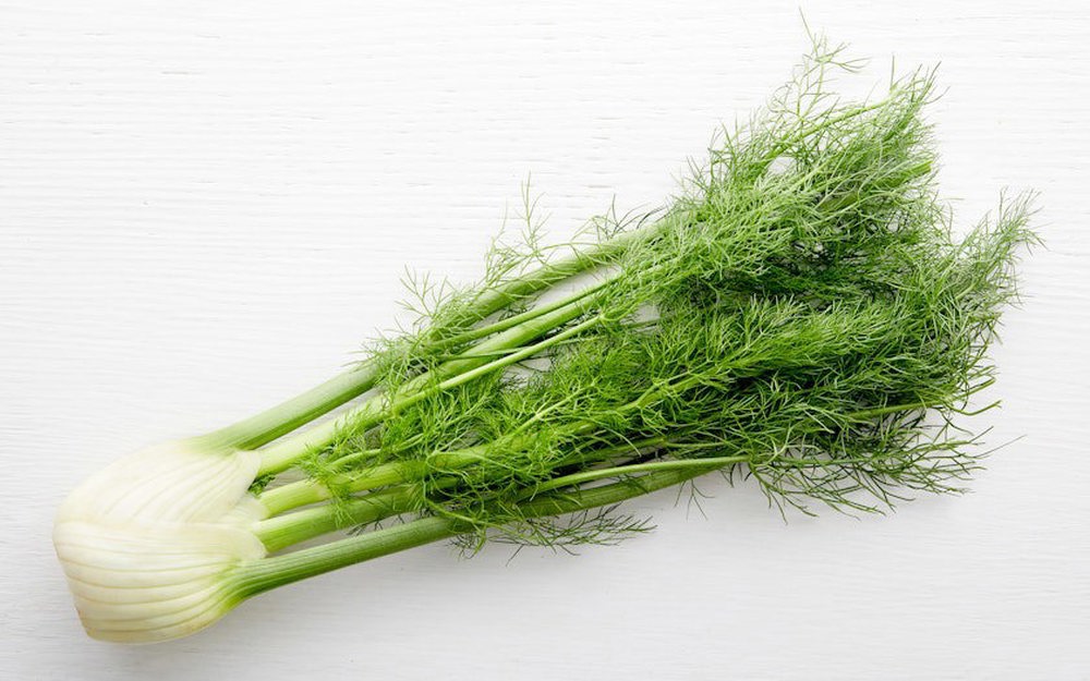 Fennel