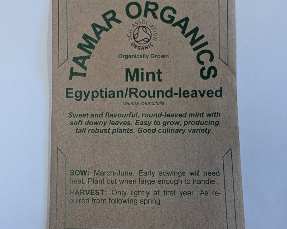 (Seeds) Mint - Egyptian/Round-Leaved