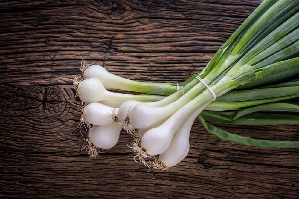 Spring Onion, bunch