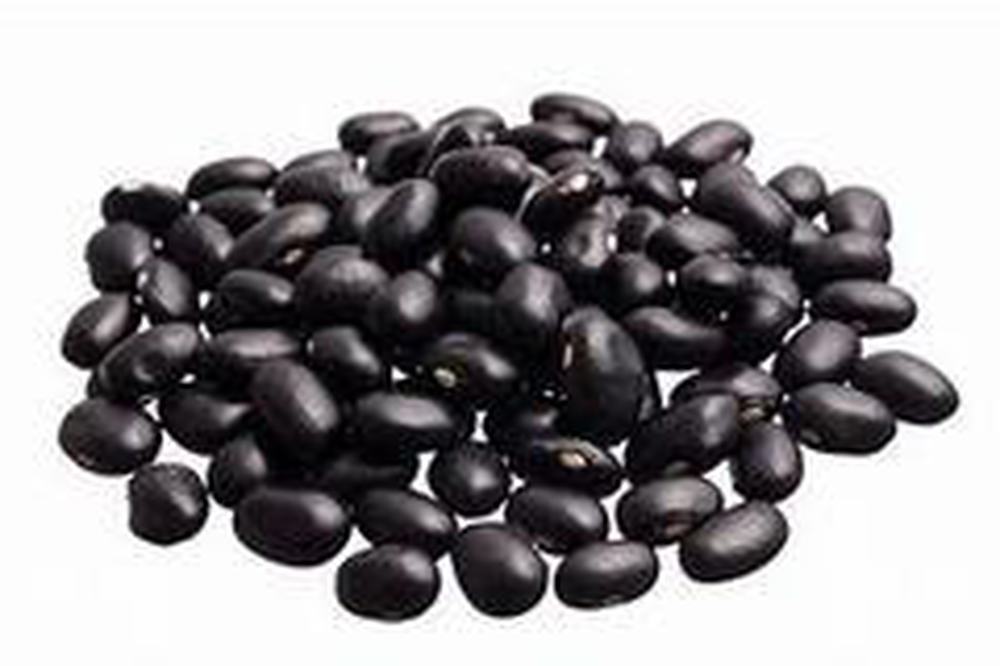 Black Turtle Beans 100g (Organically grown)