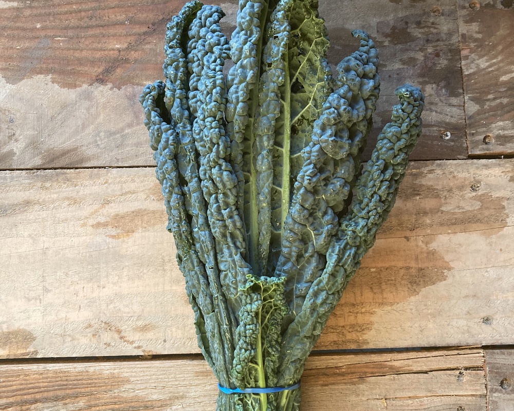 Kale - Cavolo Nero