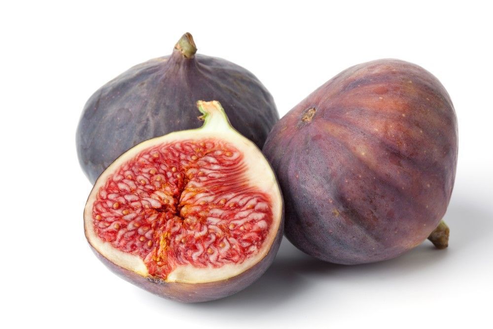 Fig