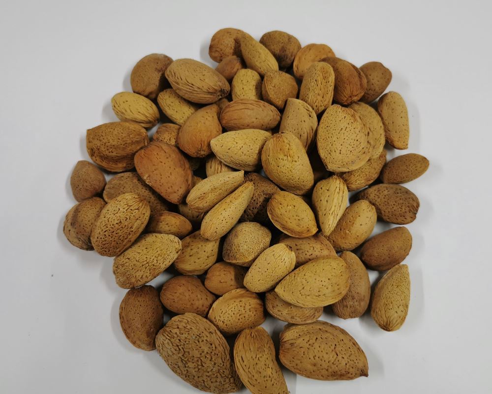 Nuts - Almonds in Shells Organic ESP