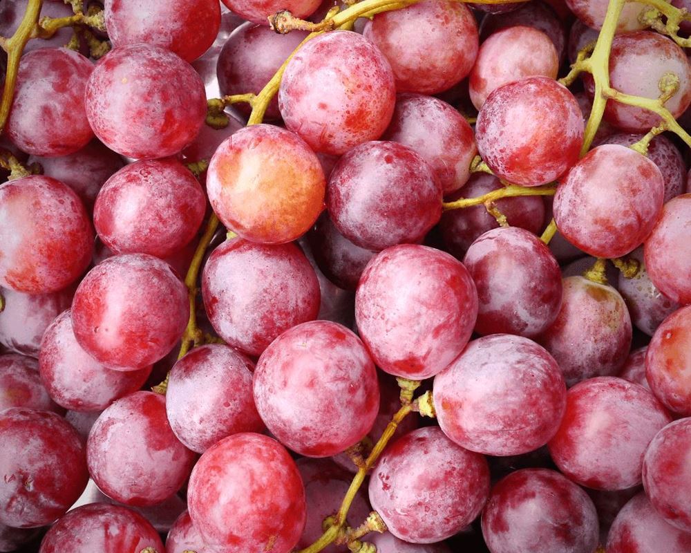 Grape (Spain)