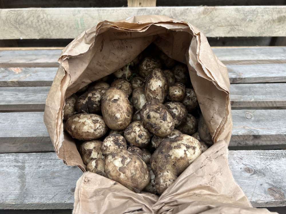 Organic New Potatoes (500g)