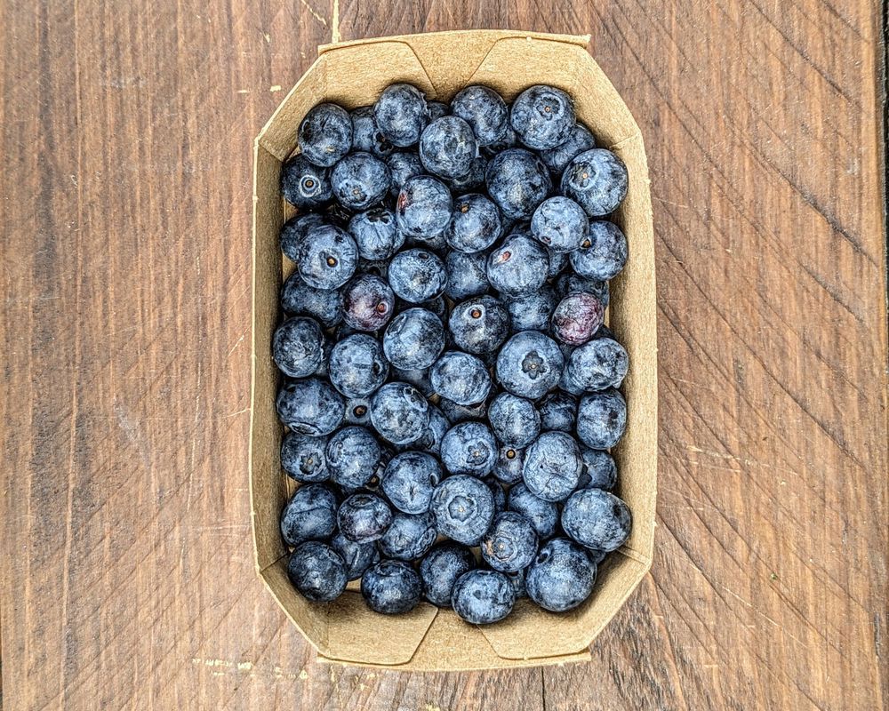 Organic Blueberries