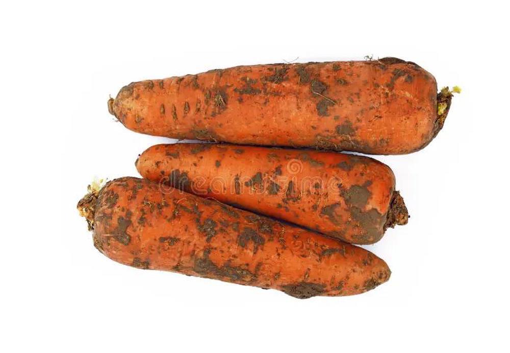 Carrots, dirty 🇬🇧
