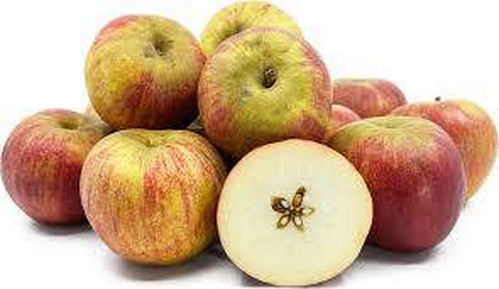 Apples - British Organic Red Windsor