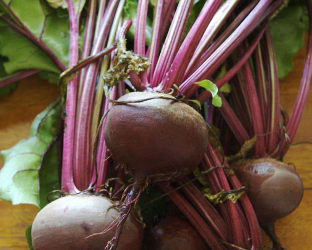 Beetroot