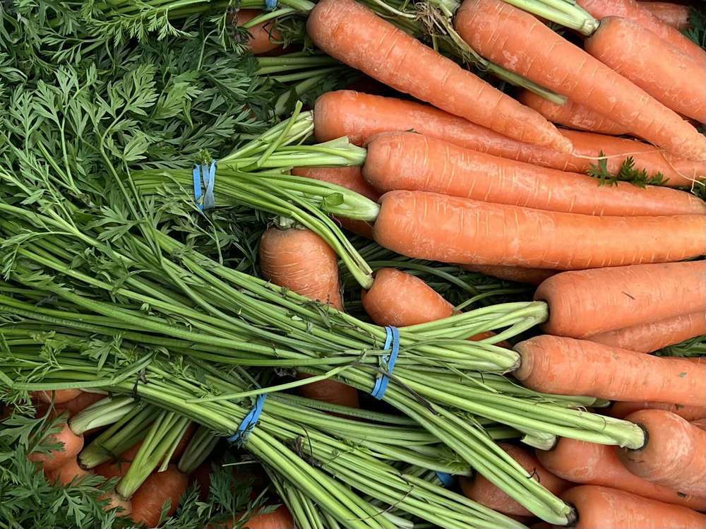 Organic Bunched Carrots