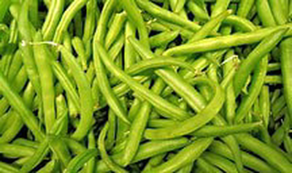 French Beans 🇬🇧