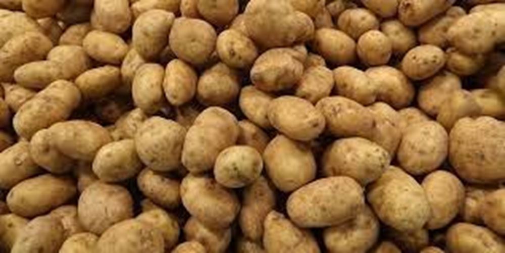 Potatoes, general purpose - 1kg