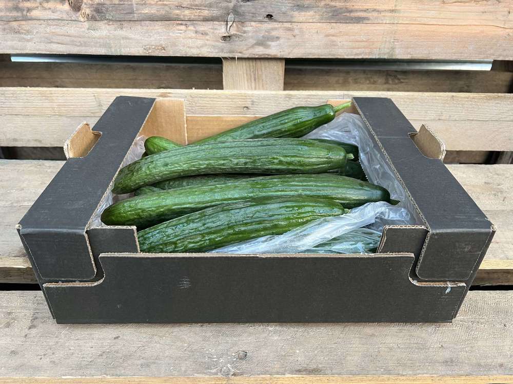 Cucumber - Organic Spanish