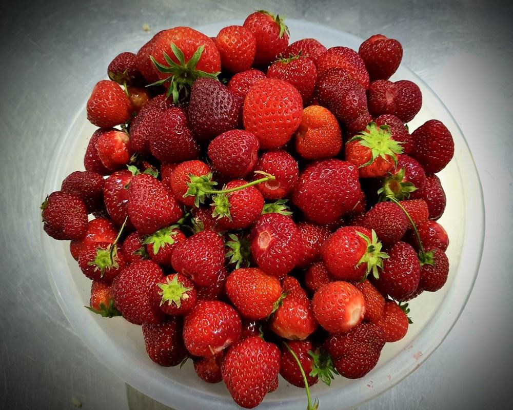 Strawberries
