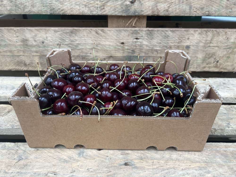 Organic Cherries (300g)