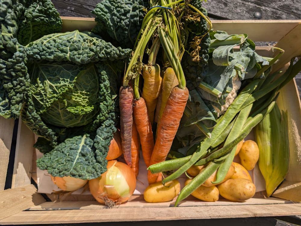 Small Veg Box