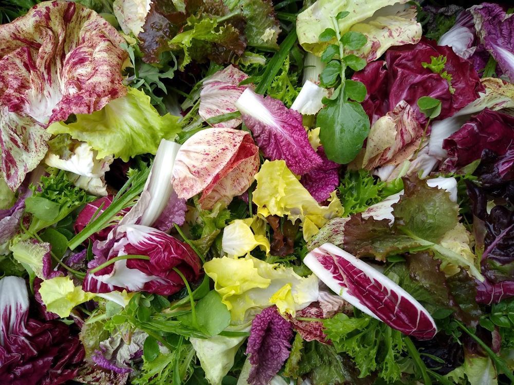 Trill Farm Garden salad and herb bags