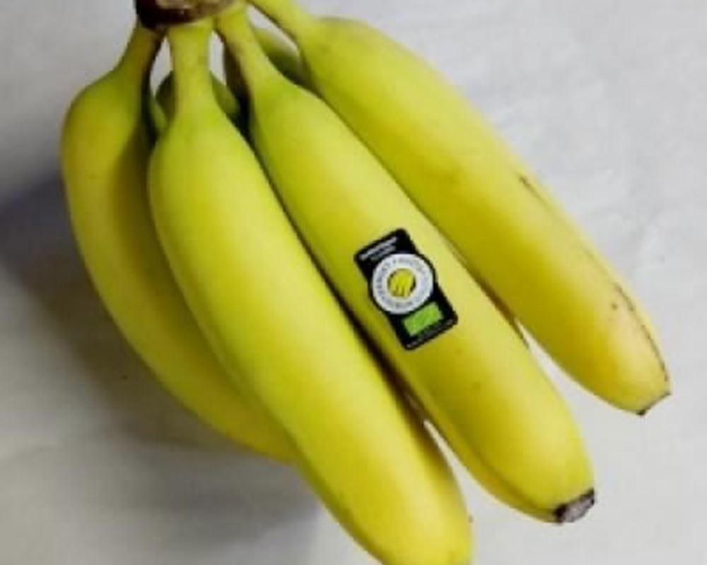 Bananas - Organic Dom Rep