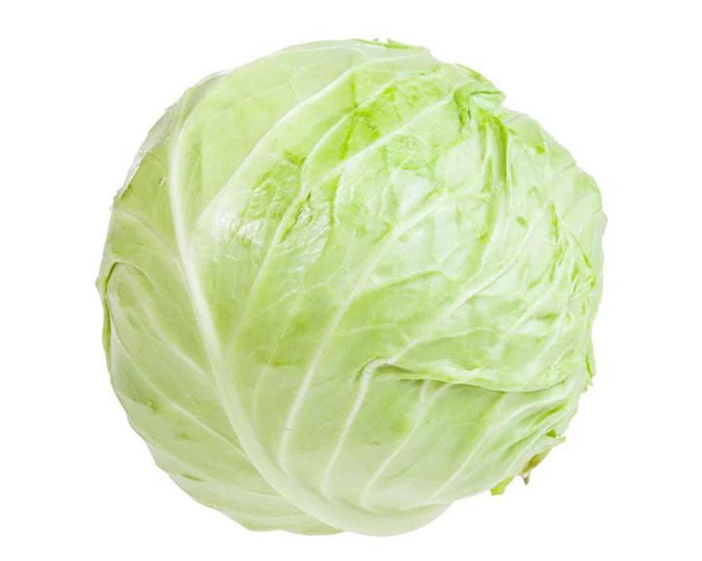 Cabbage white
