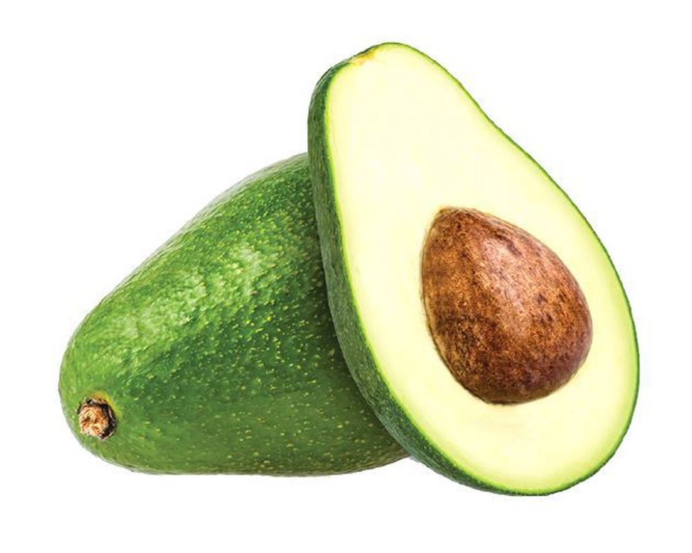 Avocado: Shepard