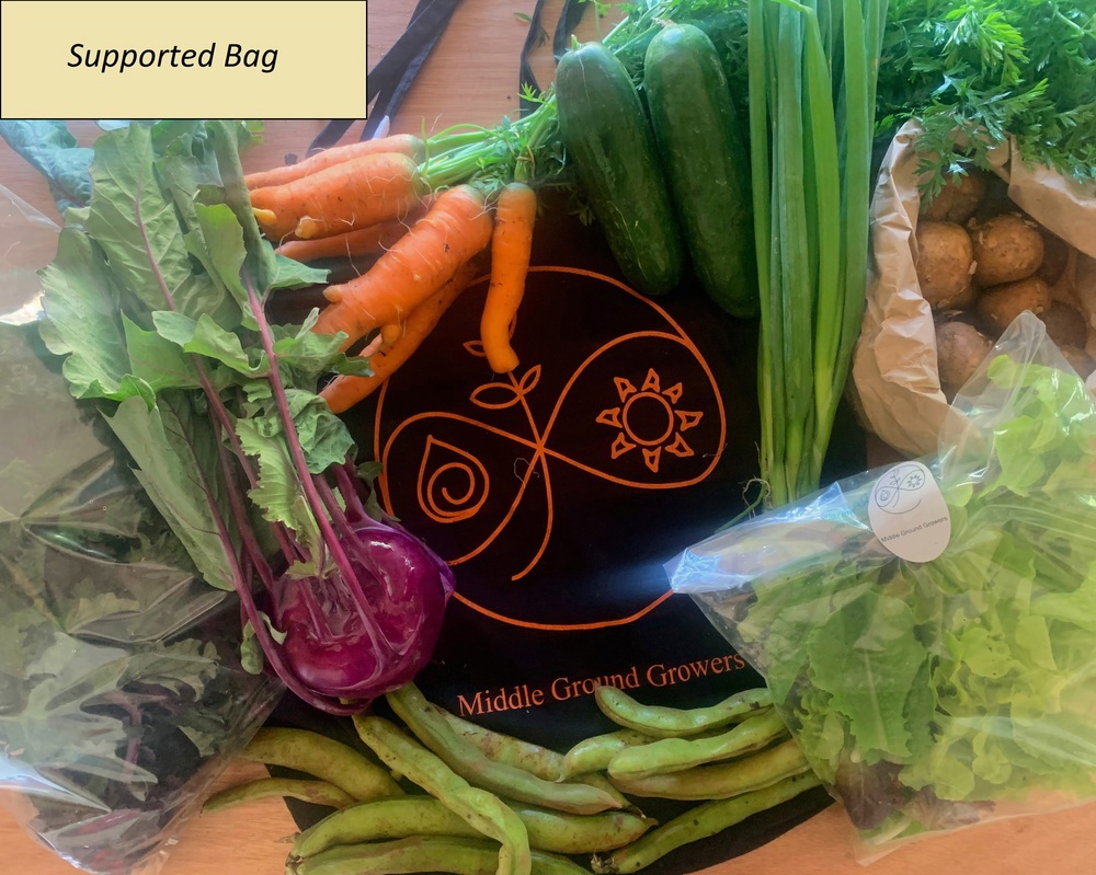 Medium Veg Bag - Supported