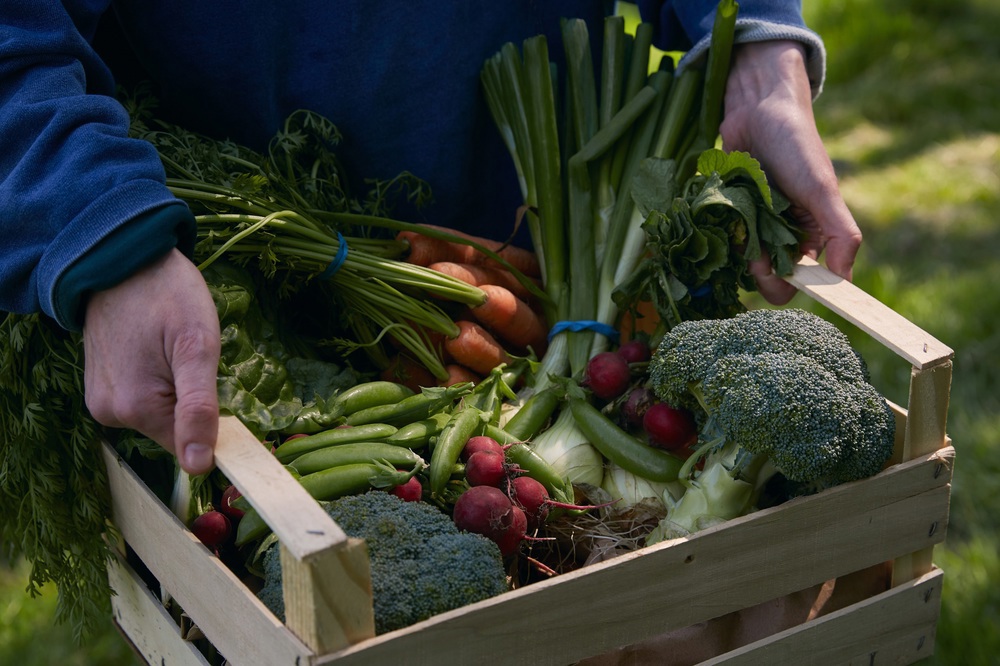 Fortnightly Winter Vegetable Bag