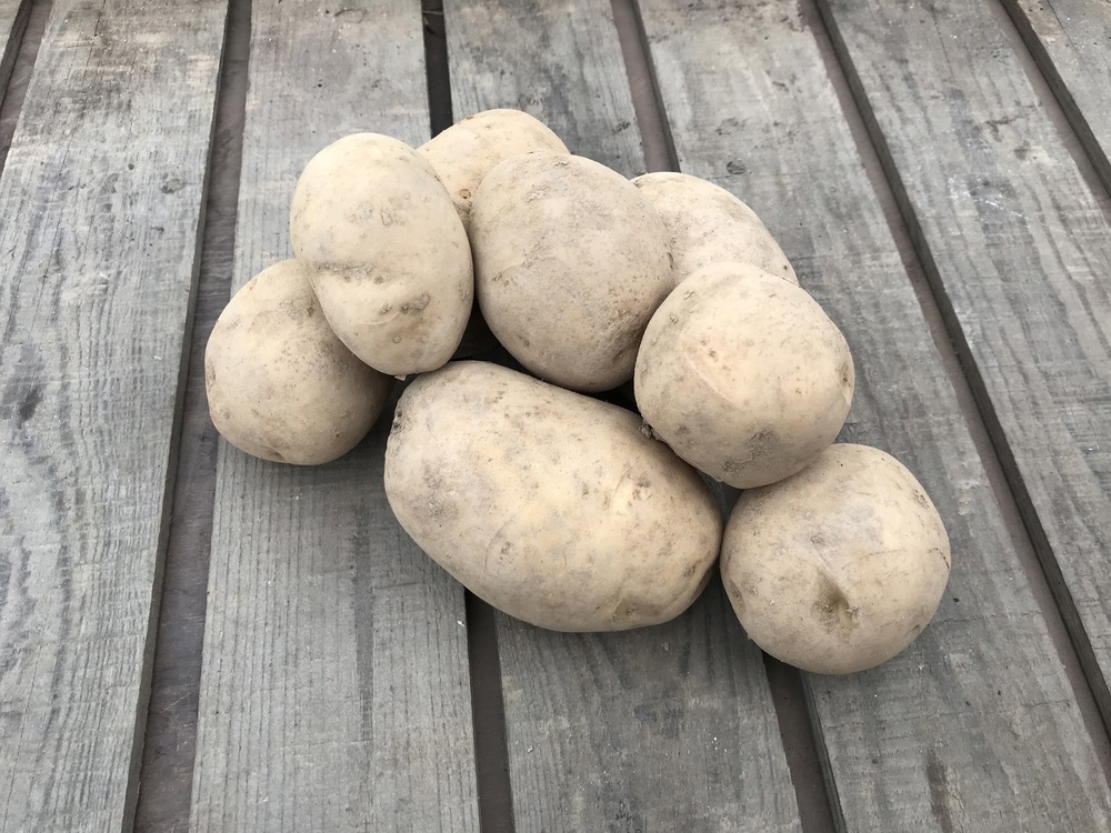 1 kg Gear Farm Organic Potatoes