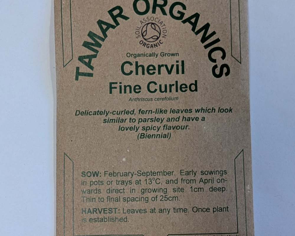 (Seeds) Chervil - Fine Curled