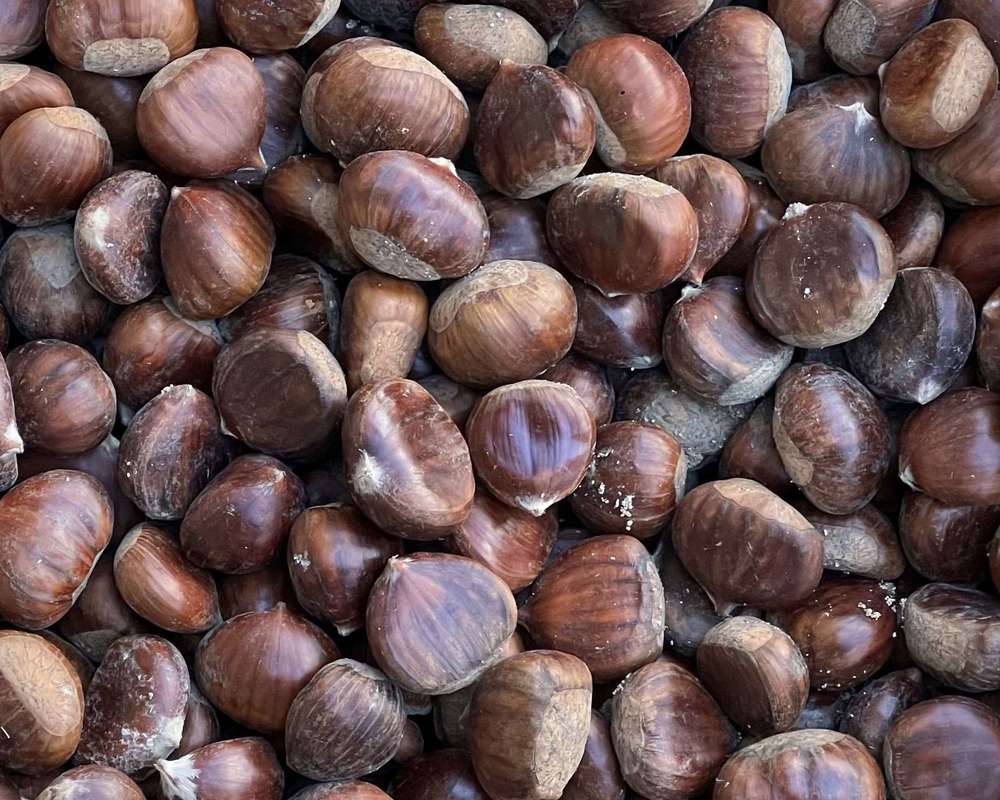 Chestnuts