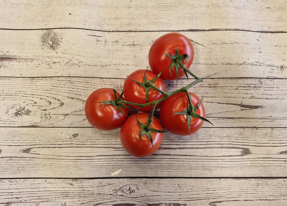 Tomato Classic