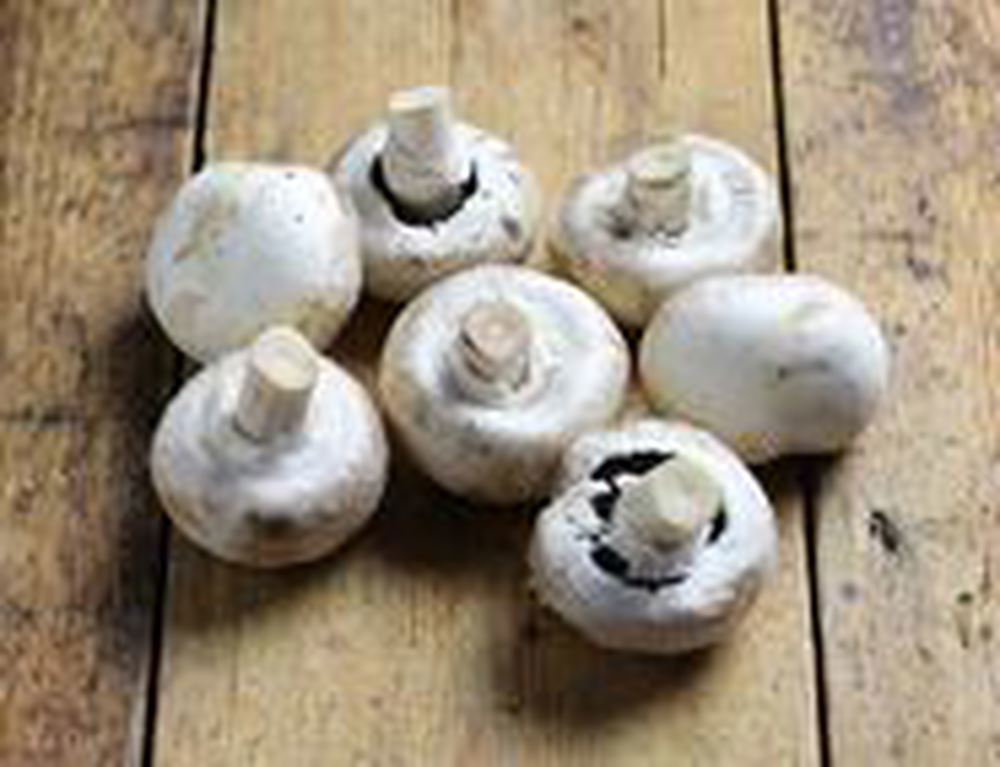 Mushrooms - British Organic White