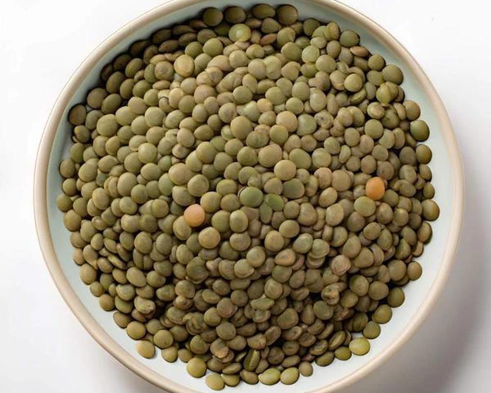 LENTILS - Organic Green UK 100g