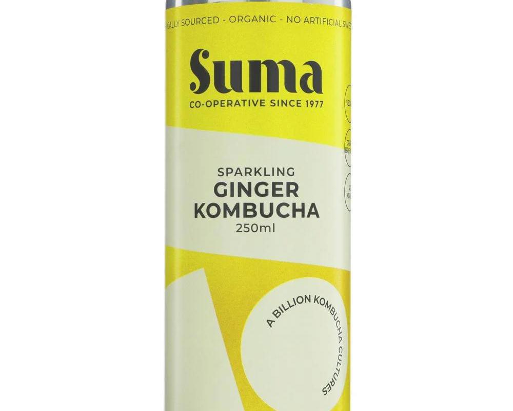Kombucha-Ginger (Organic)