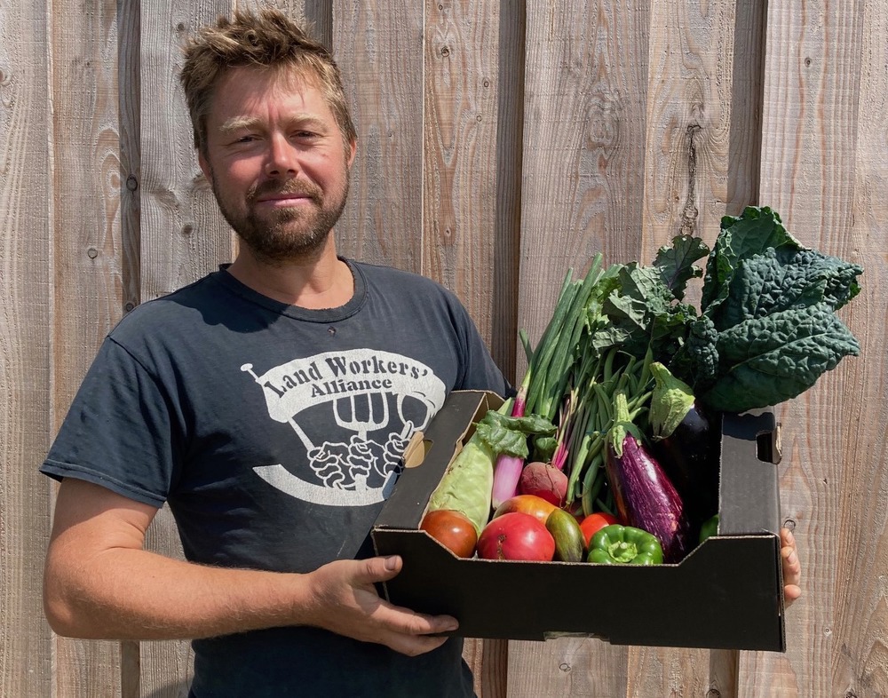 Large Veg Box