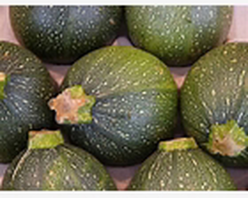 courgette round