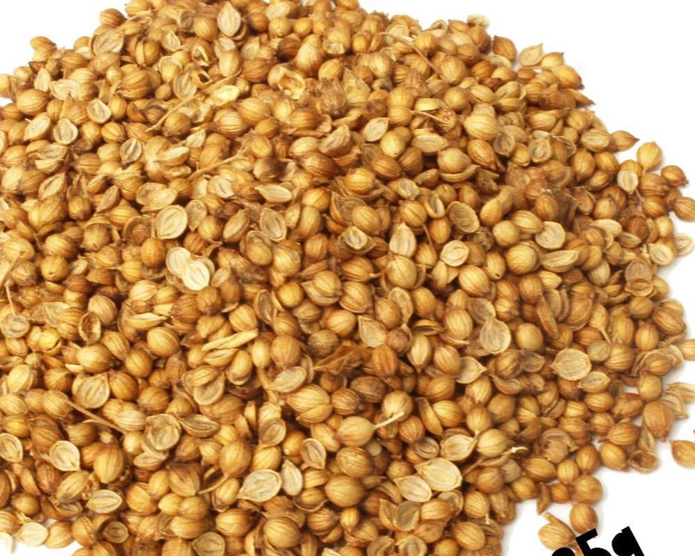 Coriander Seeds