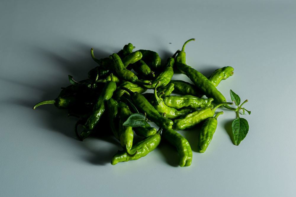 Shishito peppers