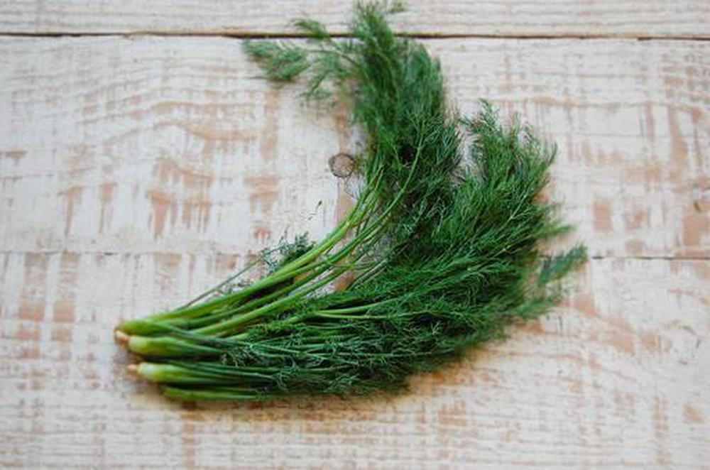 Dill