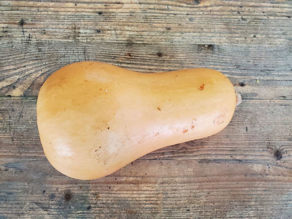 Squash - butternut (0.8 - 1kg)