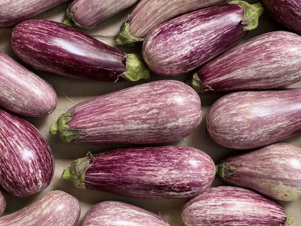 Aubergine - Graffiti (Spain)