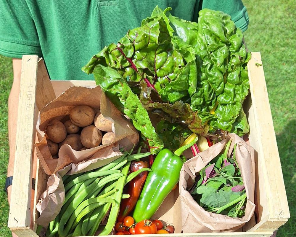 Small Veg Box