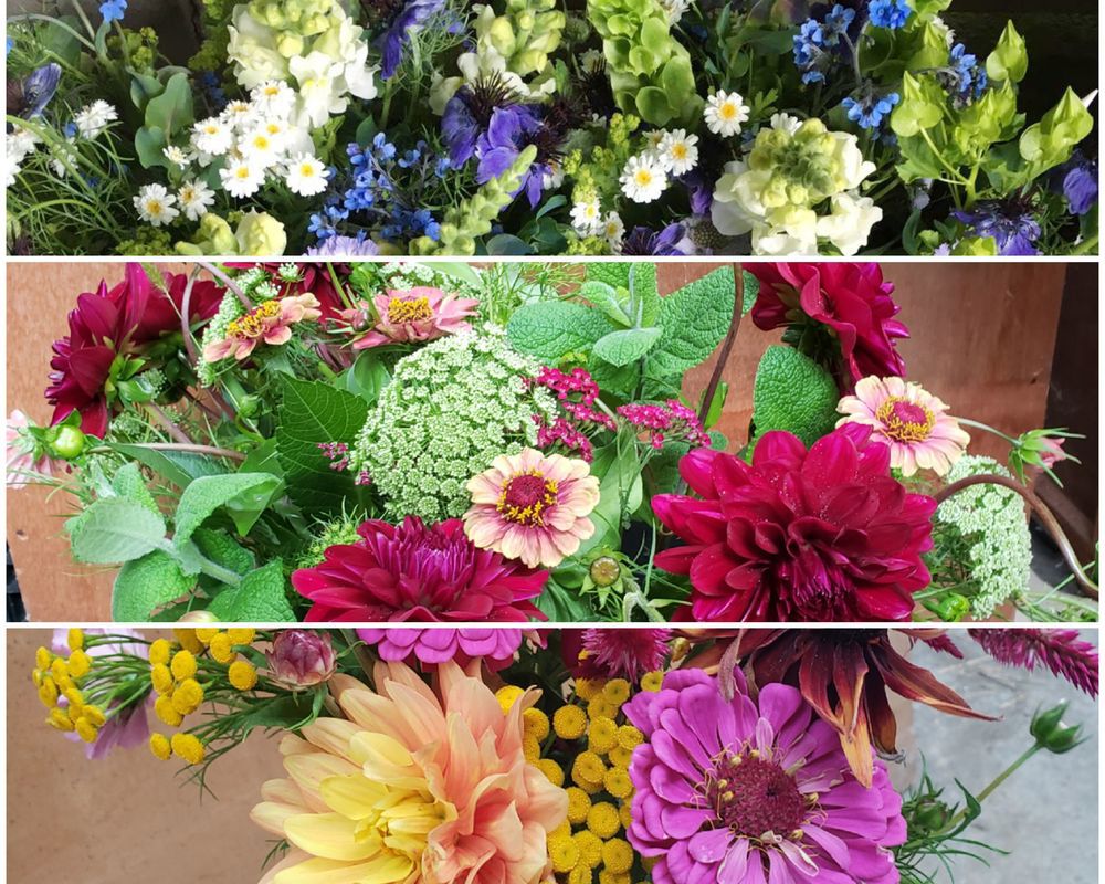 Fresh Flowers - Medium Bunch