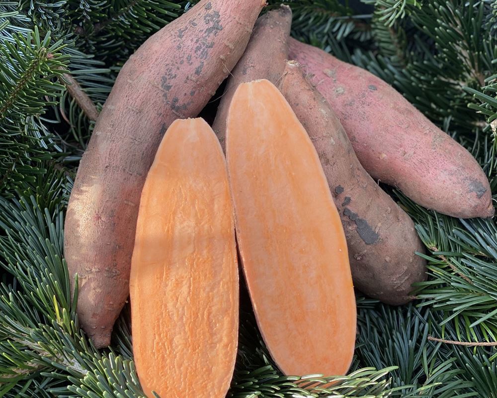Sweet Potatoes - approx 250g - Organic