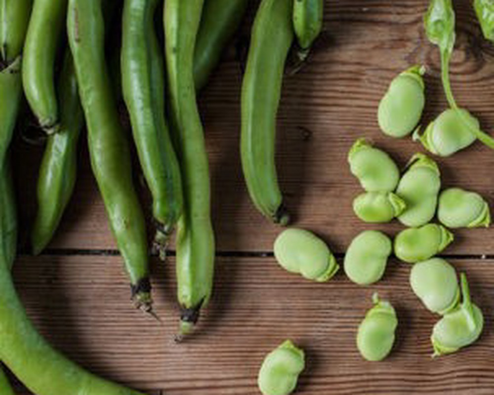 Organic Broad Beans 500g