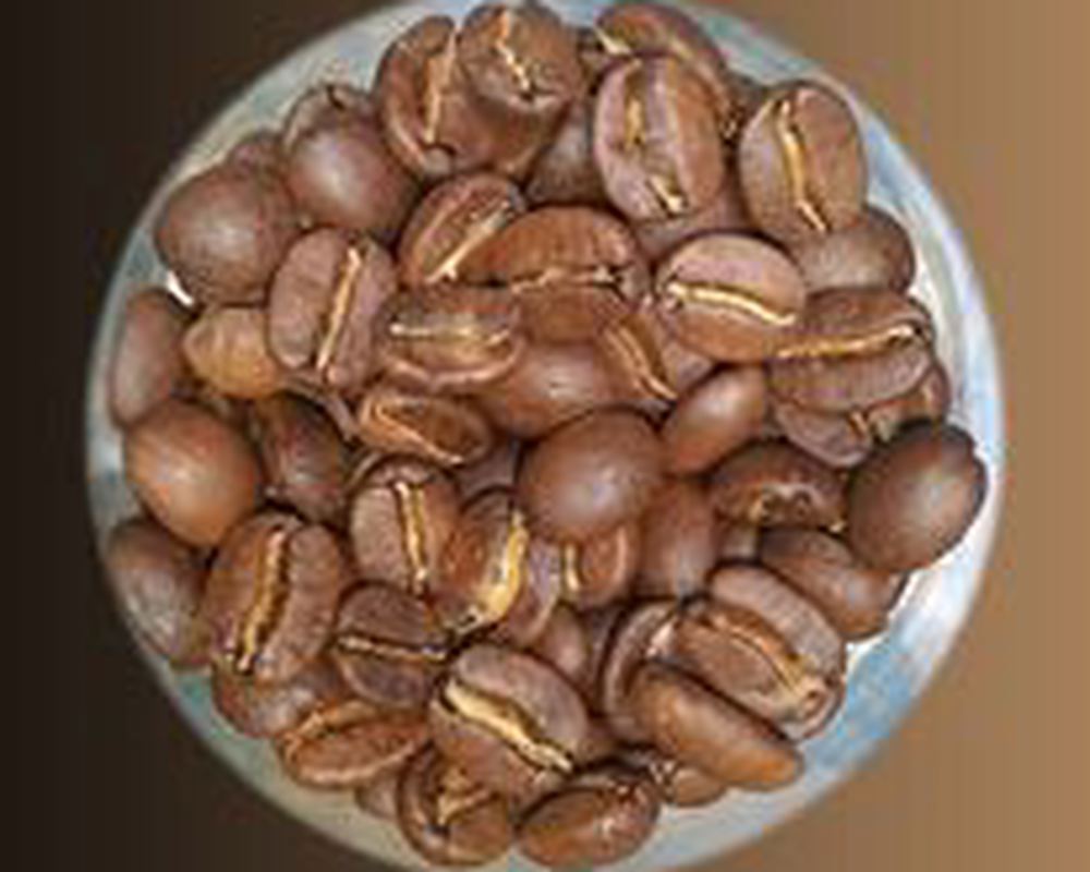 Elevenses Coffee Beans Mexico ~ Mountain Water Decaf