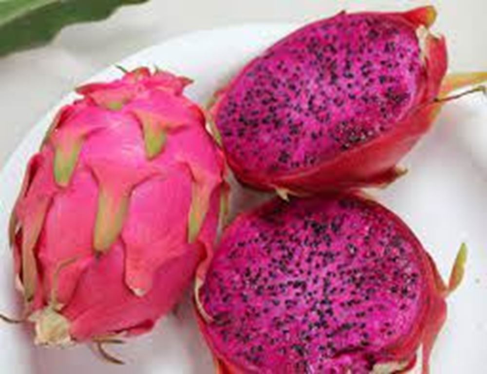 Dragonfruit