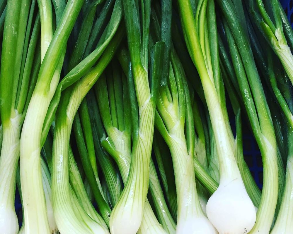 spring Onions