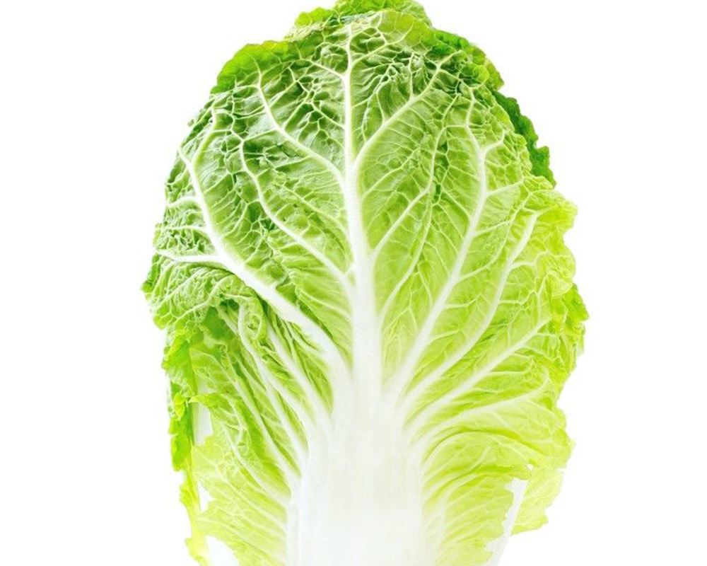 Cabbage Chinese Organic