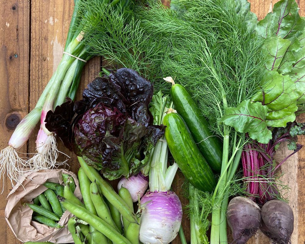 Small veg Box