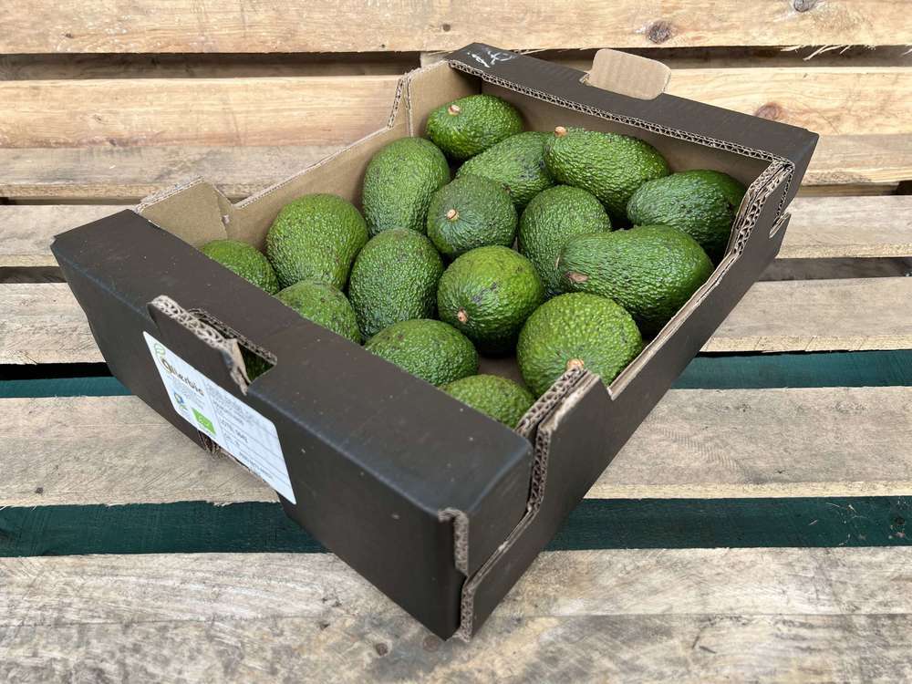 Organic Avocado Hass Tray